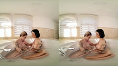 Bareback anal sex with flaming brunettes with big boobs