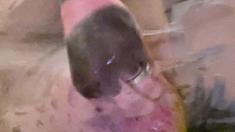 Ebony girl showers her big ass amp masturbating