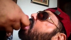 Rio de Janeiro Bull Sucking the Machos Off