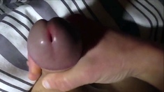 Amateur Big Cock Masturbation Cumshots