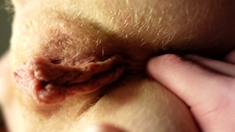 Pulled amateurs close up car sex