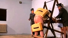 Cruelamazons - Flogging Ii