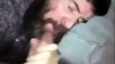 Sexy Bearded Guy Sucks Big Hairy Dick