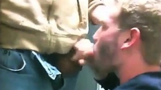 Sucking in a public restroom